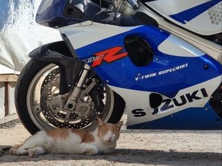 1998 Suzuki TL 1000, синий, 500000 рублей, вид 5