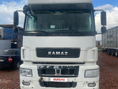 2016 КамАЗ 5490 NEO, белый, 1400000 рублей, вид 5