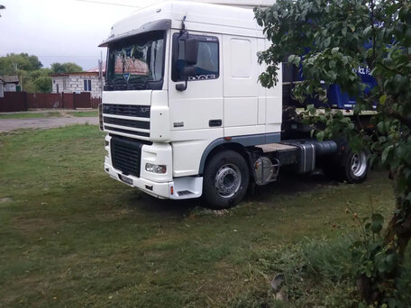 2006 DAF XF 95, белый, 4500000 рублей, вид 2