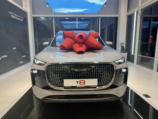 2026 Tenet T8, серый, 3885000 рублей, вид 4