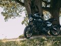 2017 Ducati Scrambler 800, чёрный, 750000 рублей