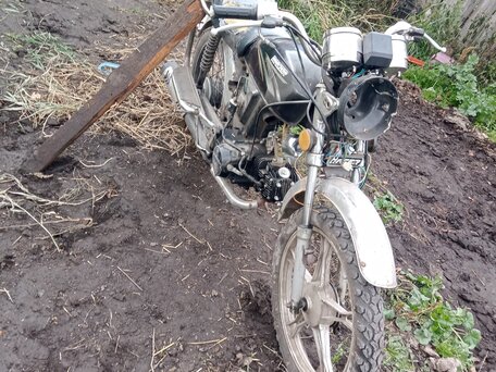 2015 Racer Wolf, чёрный, 28000 рублей, вид 2