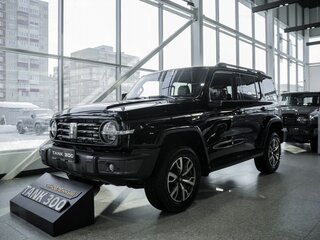 2026 Tank 300 I, чёрный, 4499000 рублей, вид 3