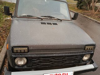 2005 Lada (ВАЗ) 2131 (4x4) I, серый, 117000 рублей, вид 2