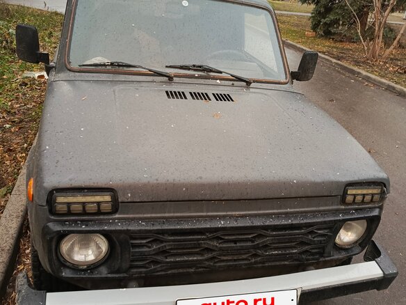 2005 Lada (ВАЗ) 2131 (4x4) I, серый - вид 1