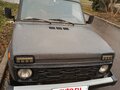 2005 Lada (ВАЗ) 2131 (4x4) I, серый - вид 1
