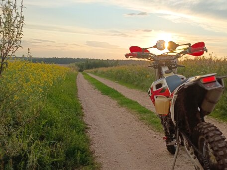 2021 Regulmoto Dyna, белый, 110000 рублей, вид 3