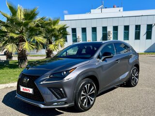 2020 Lexus NX 300 I Рестайлинг, серый, 4090000 рублей, вид 1