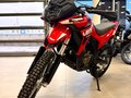 2025 Loncin DS250, красный, 258000 рублей - вид 9