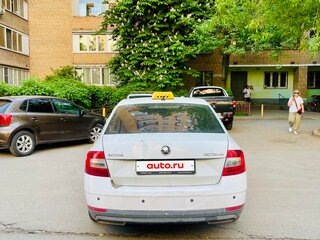 2017 Skoda Octavia III (A7) Рестайлинг, белый, 795000 рублей, вид 5
