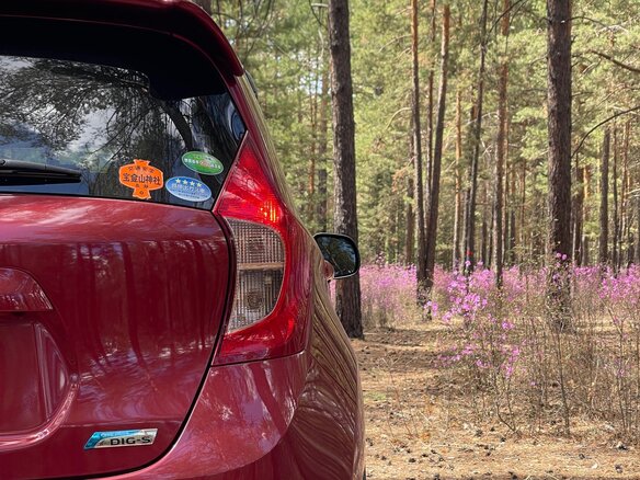2013 Nissan Note II, красный, 880000 рублей - вид 13