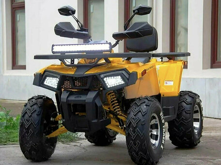 2025 Motoland Wild Track 200 X Pro, жёлтый, 215100 рублей, вид 1
