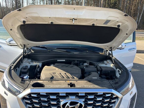 2021 Hyundai Palisade I, белый, 4800000 рублей - вид 19