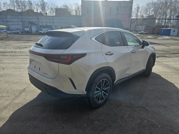 2025 Lexus NX 200 II, белый, 6150000 рублей - вид 1