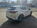 2025 Lexus NX 200 II, белый, 6150000 рублей - вид 1