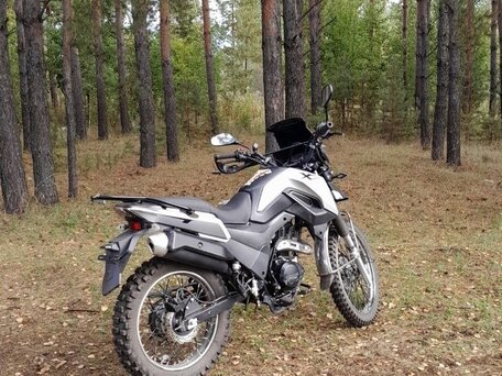 2021 Shineray Fireguard 200 Trail, чёрный, 95000 рублей, вид 1