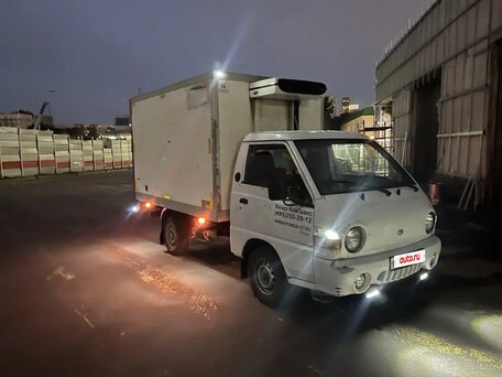 2009 Hyundai Porter, белый, 470000 рублей, вид 2