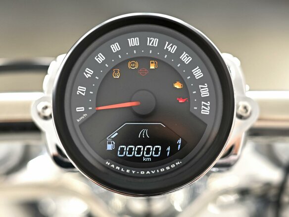 2025 Harley-Davidson Breakout, серый - вид 8