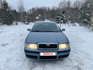 2008 Skoda Octavia I (A4) Рестайлинг, серый, 370000 рублей, вид 1