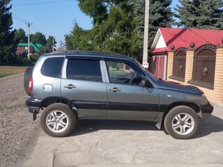 2007 Chevrolet Niva I, серый, 490000 рублей, вид 2