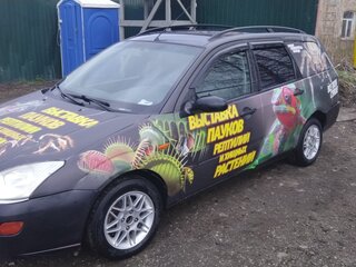 2001 Ford Focus I, синий, 165000 рублей, вид 1