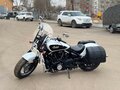 2024 Indian Scout, белый - вид 6