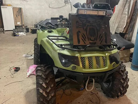 2010 Arctic Cat 450 Series, зелёный, 510000 рублей, вид 2