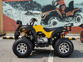 2026 Tiger Sport 250, чёрный, 237900 рублей - вид 1