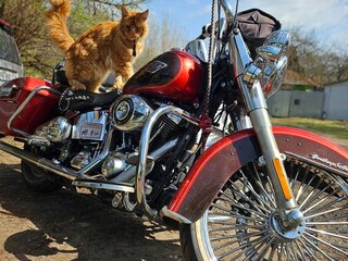 2013 Harley-Davidson Heritage, красный, 1200000 рублей, вид 4