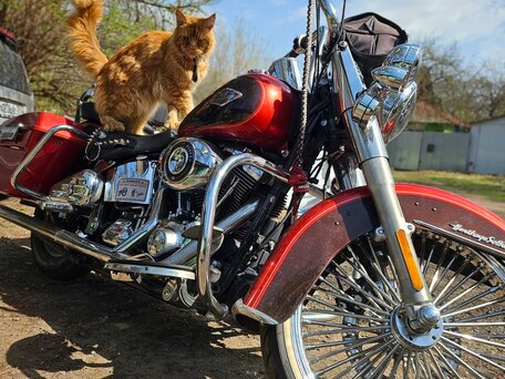 2013 Harley-Davidson Heritage, красный, 1200000 рублей, вид 4