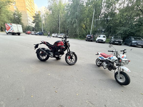 2026 Honda Z125 Monkey, белый - вид 2