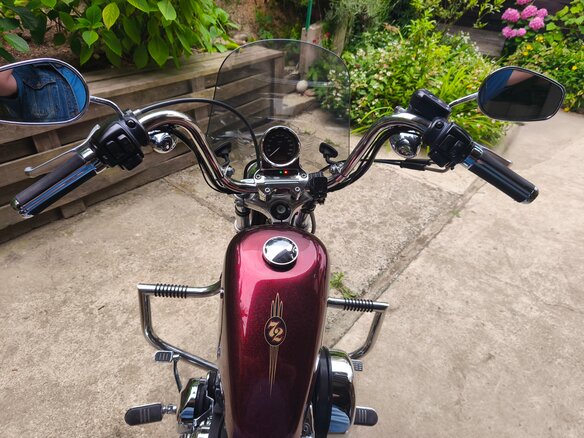 2012 Harley-Davidson XL1200, пурпурный, 920000 рублей - вид 6