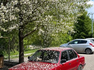 1988 BMW 3 серии 324d II (E30), красный, 750000 рублей, вид 1