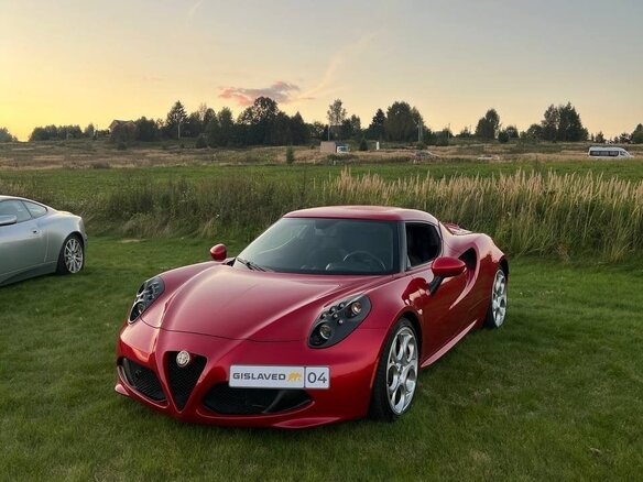 2014 Alfa Romeo 4C, красный, 10000000 рублей - вид 17