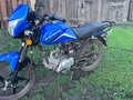 2024 Alfer VR 250, синий, 65000 рублей - вид 1