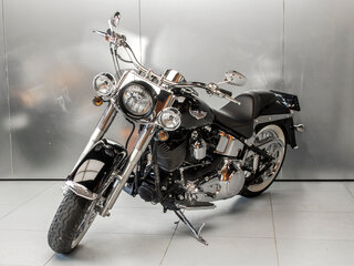 2006 Harley-Davidson Softail Deluxe, серебристый, 891245 рублей, вид 3