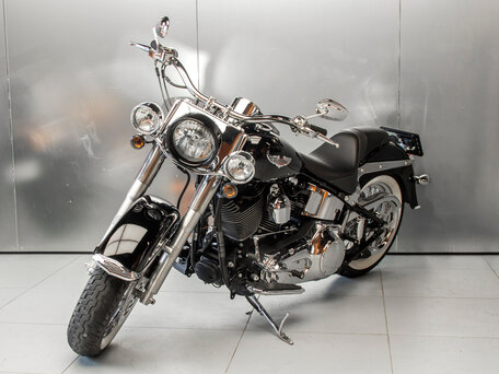 2006 Harley-Davidson Softail Deluxe, серебристый, 880925 рублей, вид 3