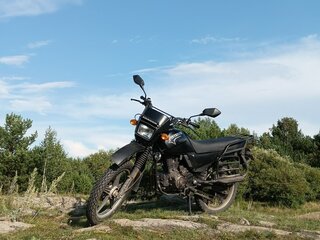 Irbis Intruder