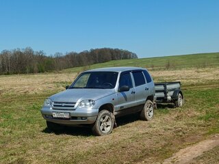 2008 Chevrolet Niva I, серебристый, 350000 рублей, вид 1