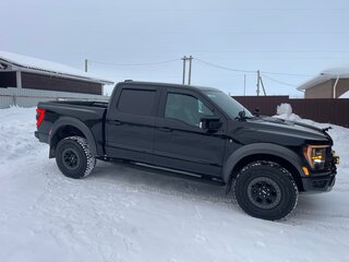 2022 Ford F-150 Raptor XIV, чёрный, 7500000 рублей, вид 4
