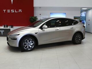 2025 Tesla Model Y Long Range I Рестайлинг, серый, 8000000 рублей, вид 5