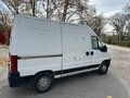 2008 Fiat Professional Ducato, белый, 750000 рублей - вид 5