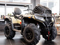 2026 Loncin XWolf 1000L Muddy, коричневый, 1399000 рублей