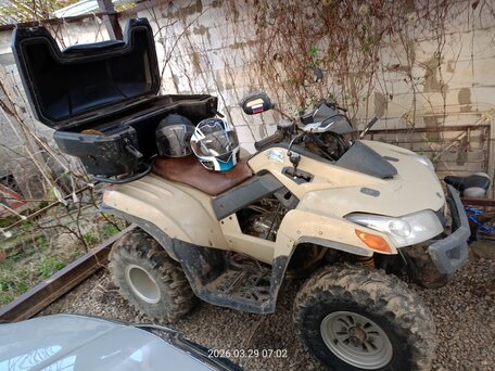2010 Sym QuadLander, бежевый, 260000 рублей, вид 2