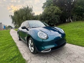 2021 Ora Good Cat 47.8 kWh I, зелёный, 1420000 рублей, вид 3