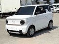2024 Geely Panda Knight I, белый, 790000 рублей - вид 1
