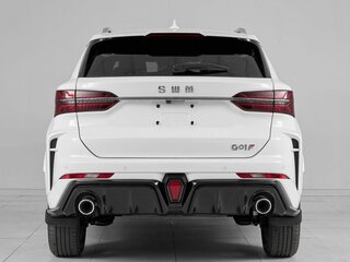 2024 SWM G01F, белый, 1849000 рублей, вид 5