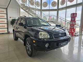 2001 Hyundai Santa Fe I, чёрный, 810000 рублей, вид 4