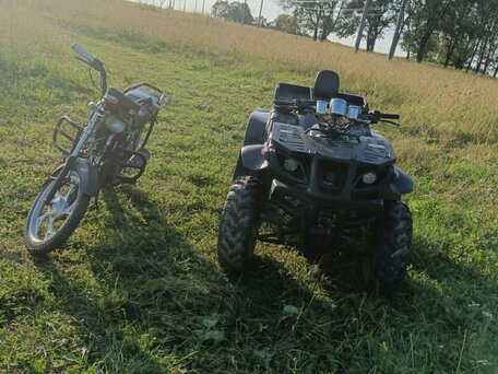 2025 Tiger Max Grade 300, чёрный, 120000 рублей, вид 1