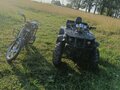 2025 Tiger Max Grade 300, чёрный, 120000 рублей